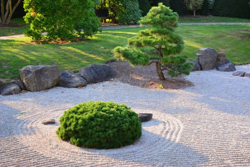 nature, japanese garden, zen-4955817.jpg